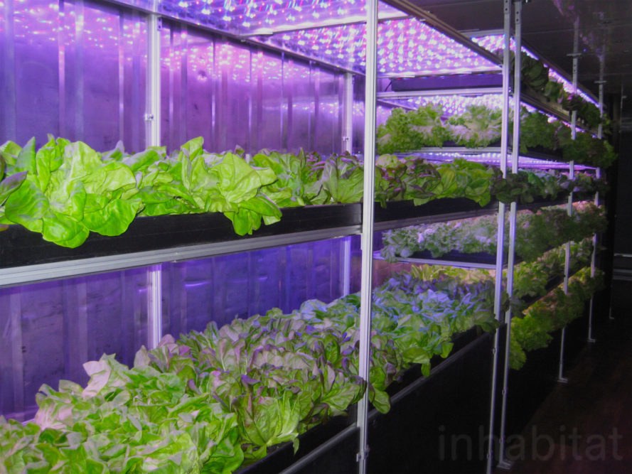 Local Roots shipping container farms achieve cost parity with