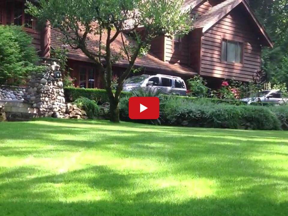 In Harmony Seattle Sustainable Landscape Company