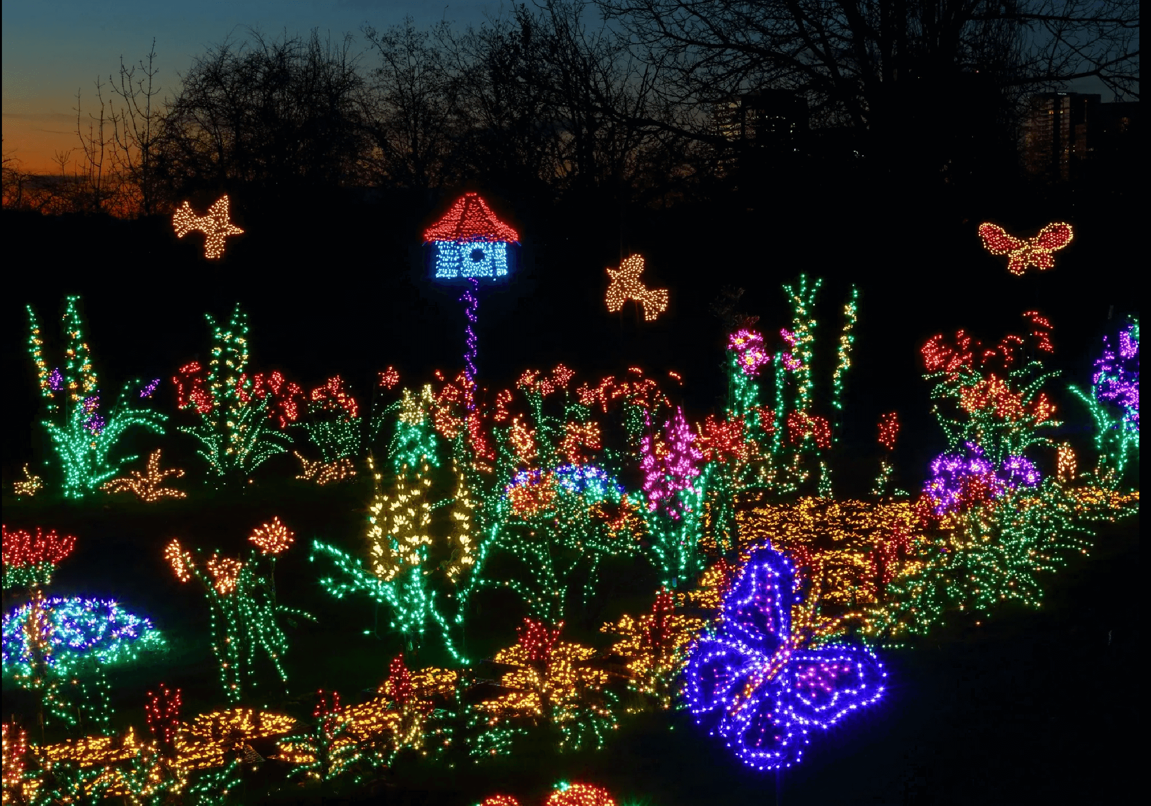Enjoy holiday light shows at local public spaces • In Harmony