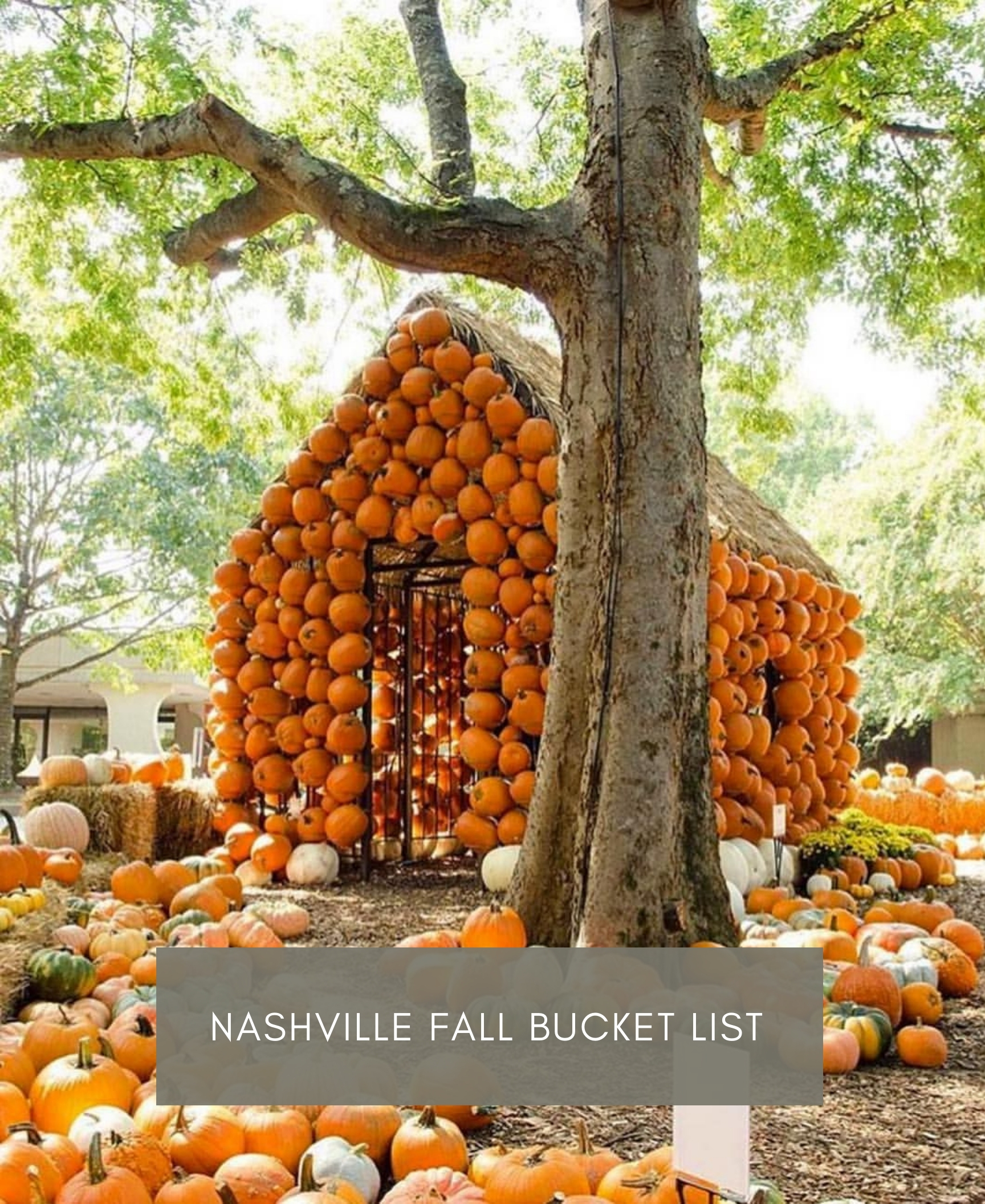 Nashville Fall Bucket List In Honor Of Design