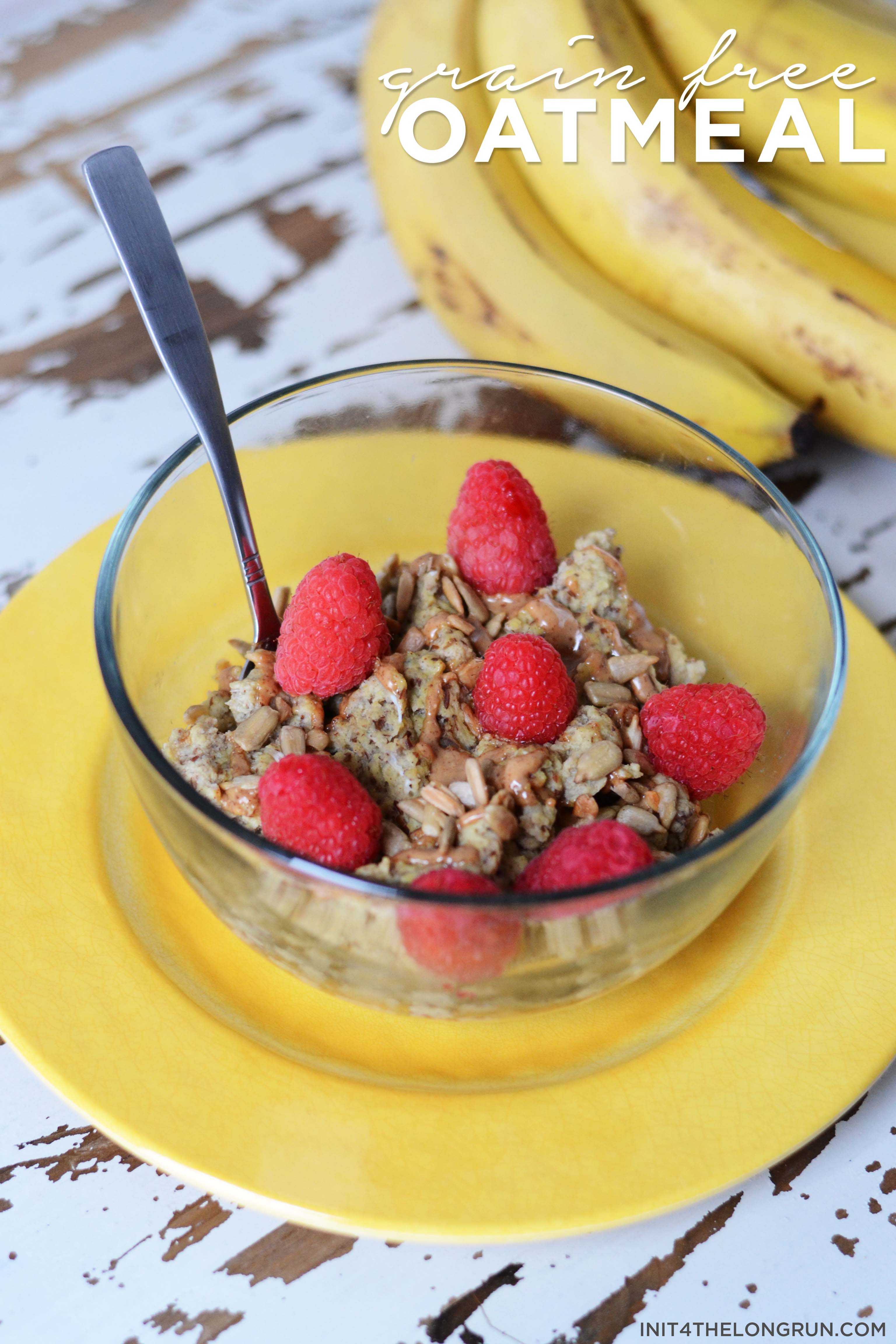 GrainFree Paleo Oatmeal