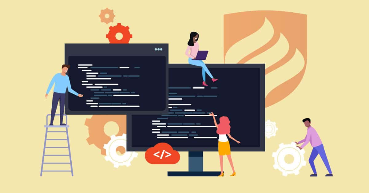 What is a software developer