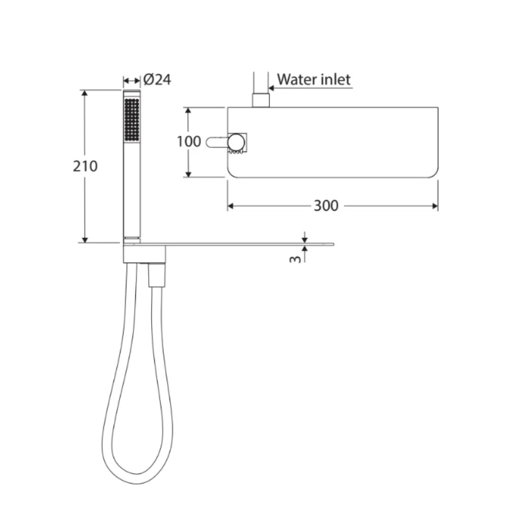 Fienza Empire Chrome Hand Shower With Integreted Shelf