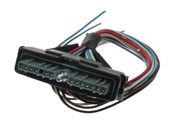 Holden 3.8L DFI Module Connector Plug Set CPS030 Injectacarb