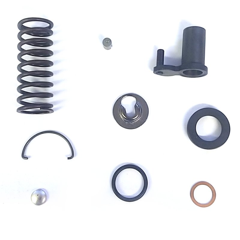 Overhaul repair kit for Bosch single cylinder PFE1Q injection pumps