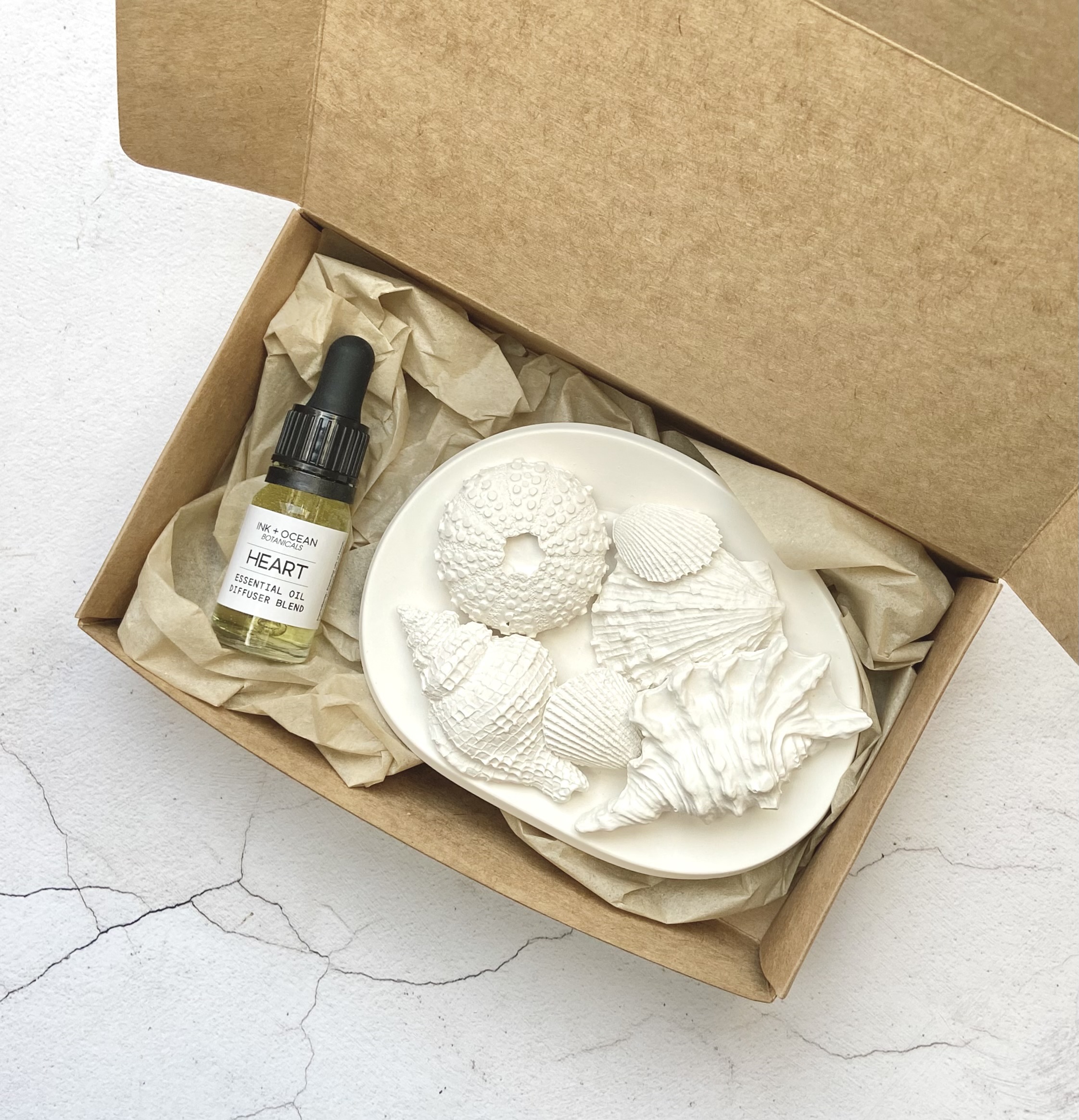 Handmade shell cast aroma stones diffuser home fragrance