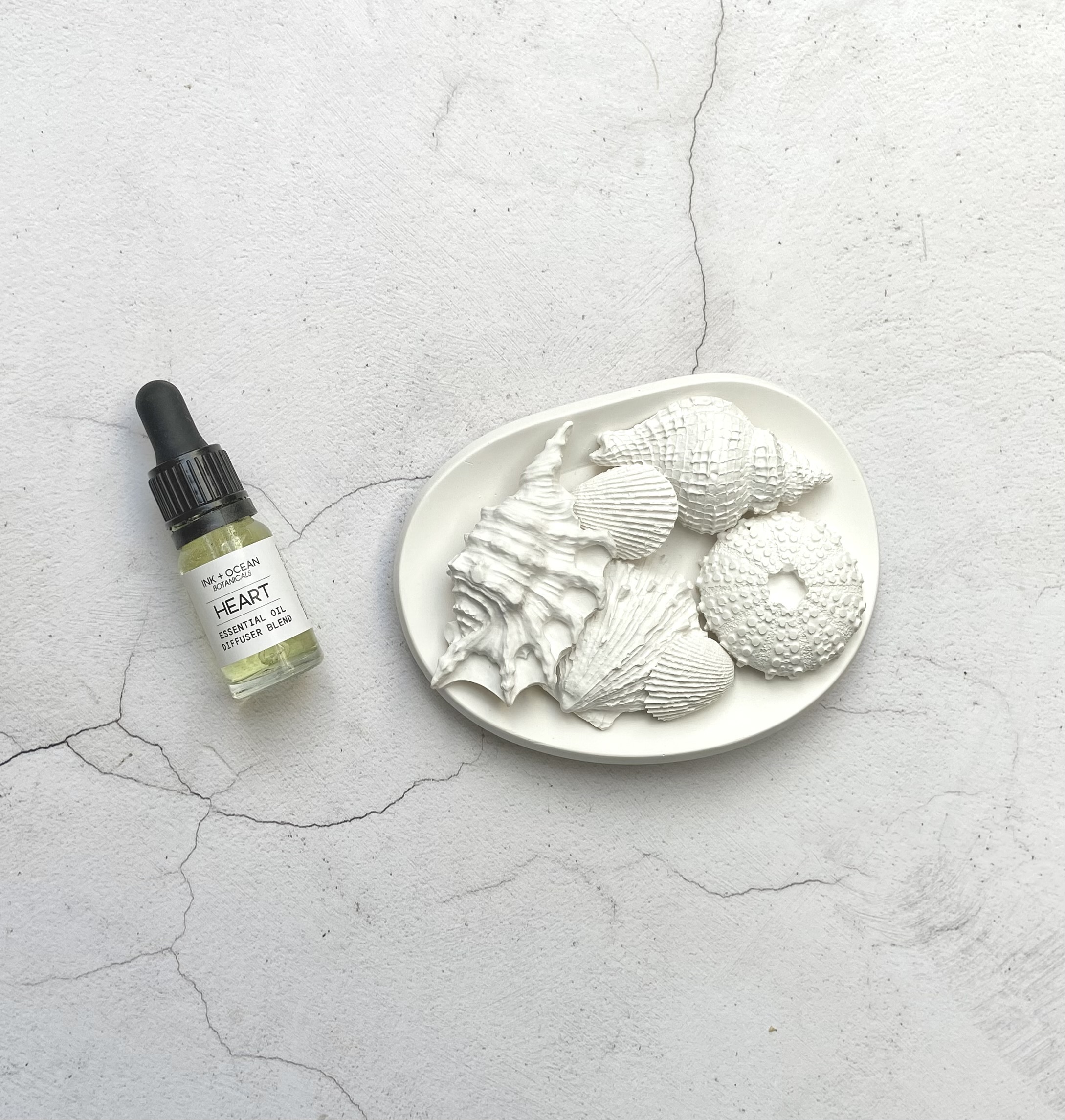 Handmade shell cast aroma stones diffuser home fragrance