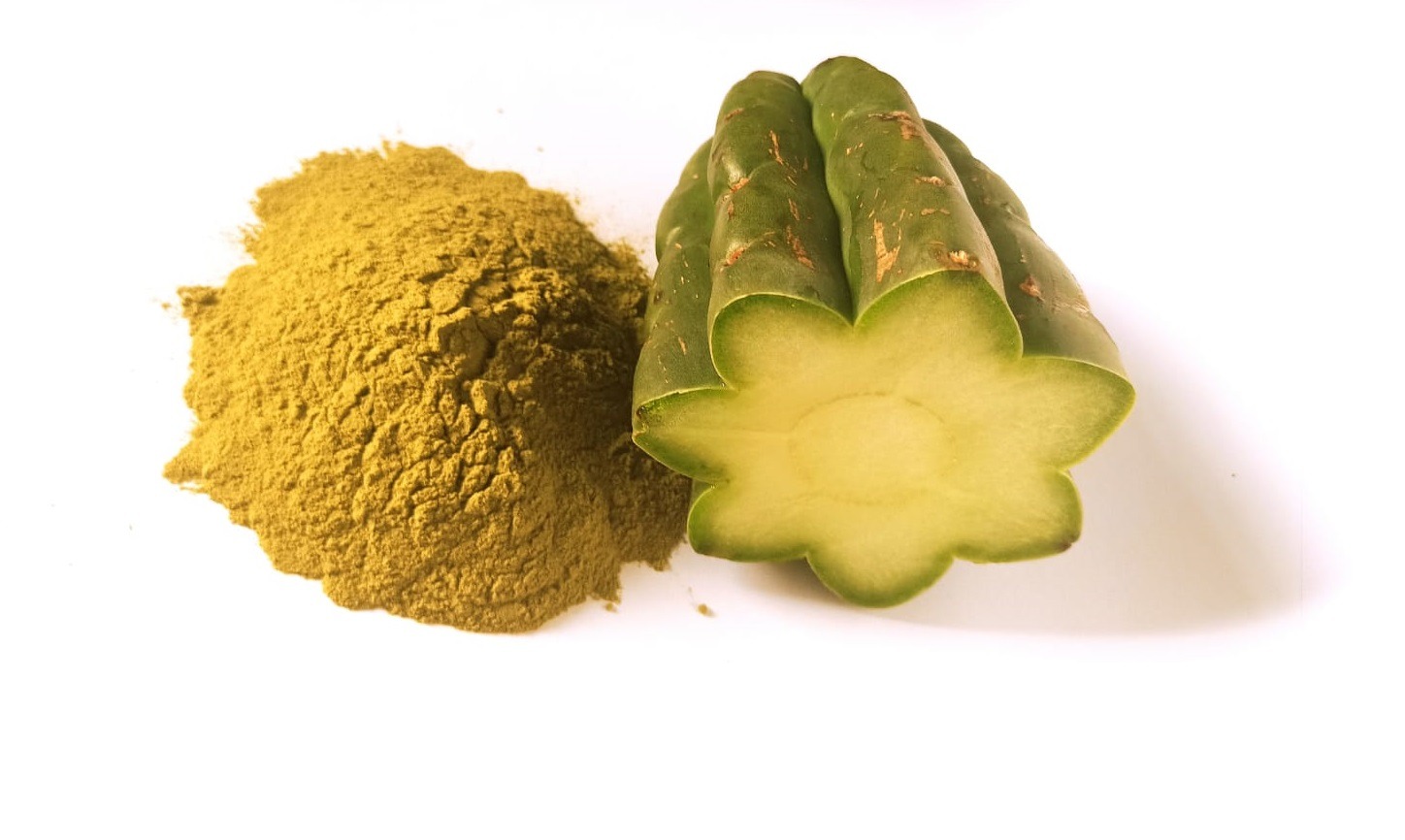 San Pedro Cactus Powder 100 Natural Inka Powder