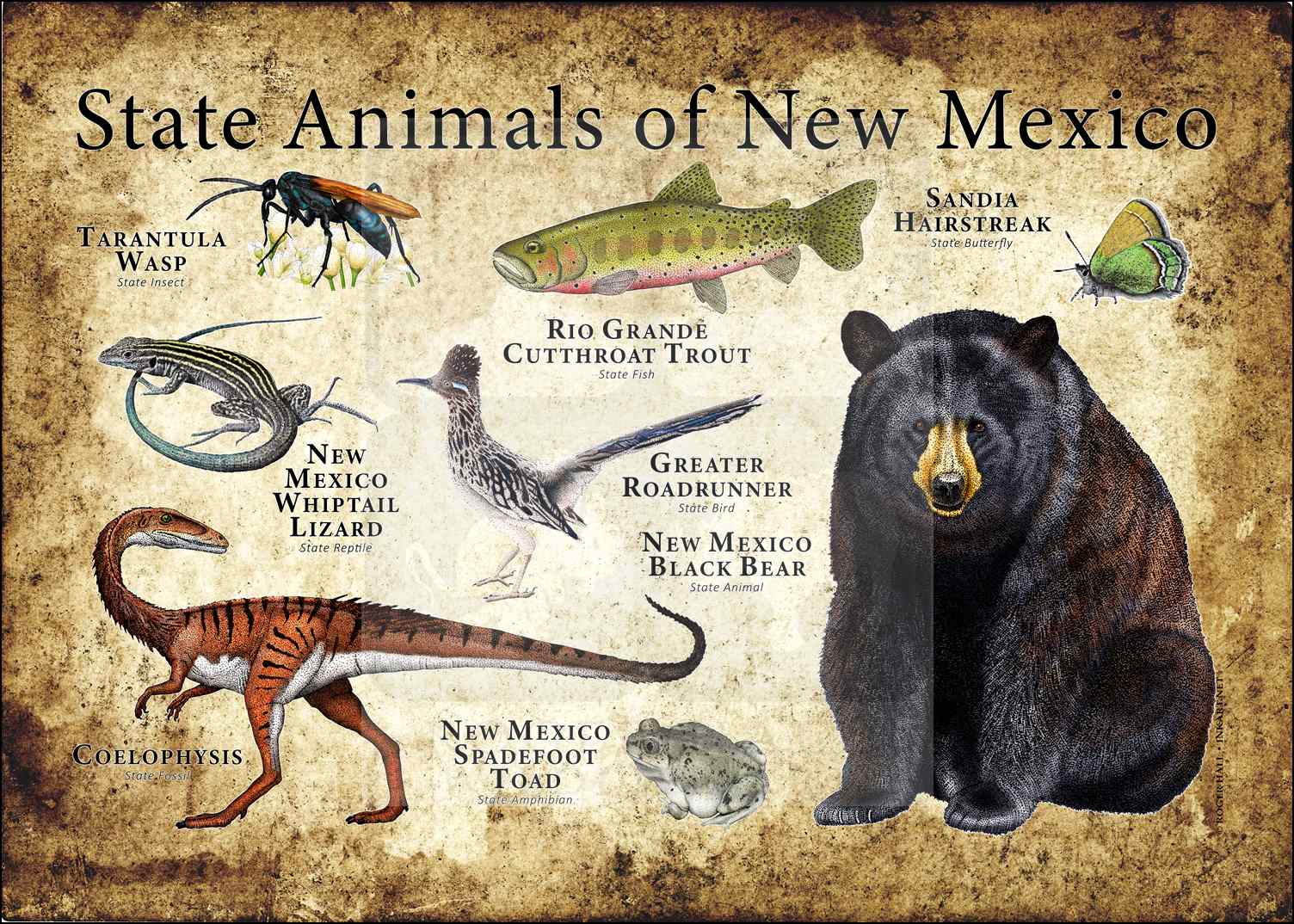 South Dakota State Animals Poster Print inkart