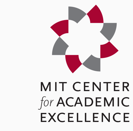 Center for Academic Excellence