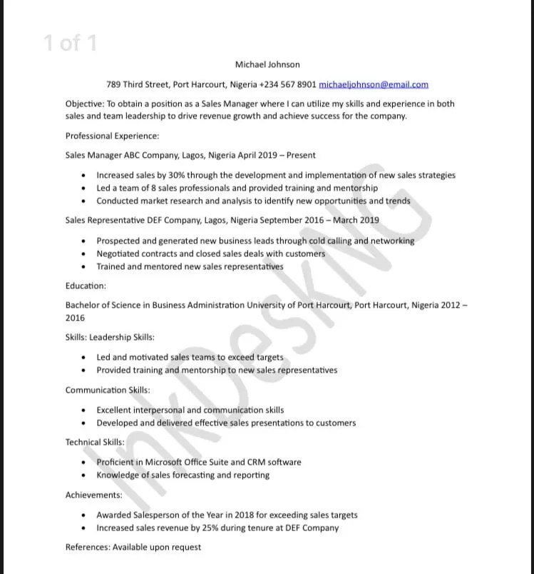 CV Format in Nigeria 2024 Best Styles Explained Inkdeskng
