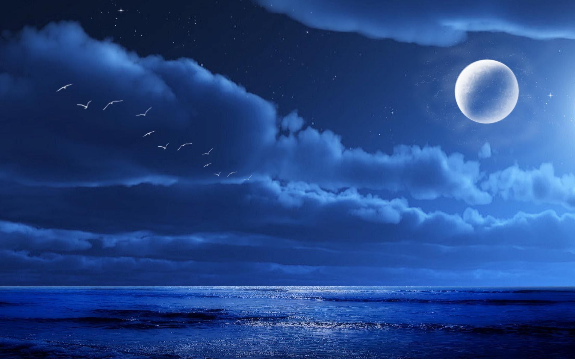 Midnight Blue The Inkwell