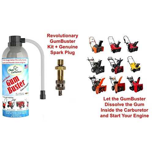 Cleancarburetor Gumbuster Carburetor Cleaner + Purge Valve Kit