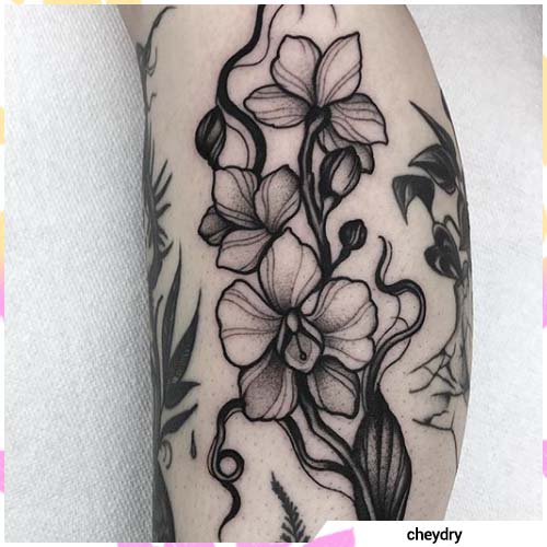 Significato Tatuaggio Orchidea - Simbolismi E Tante Idee Tattoo 500_x_500_jpg