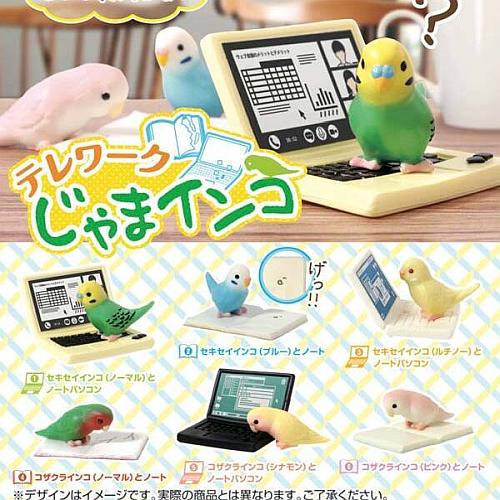 テレワークじゃまインコが4月発売！セキセイ・コザクラ飼いの在宅勤務