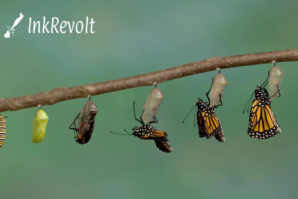 What Does A Butterfly Tattoo Mean Ink Revolt