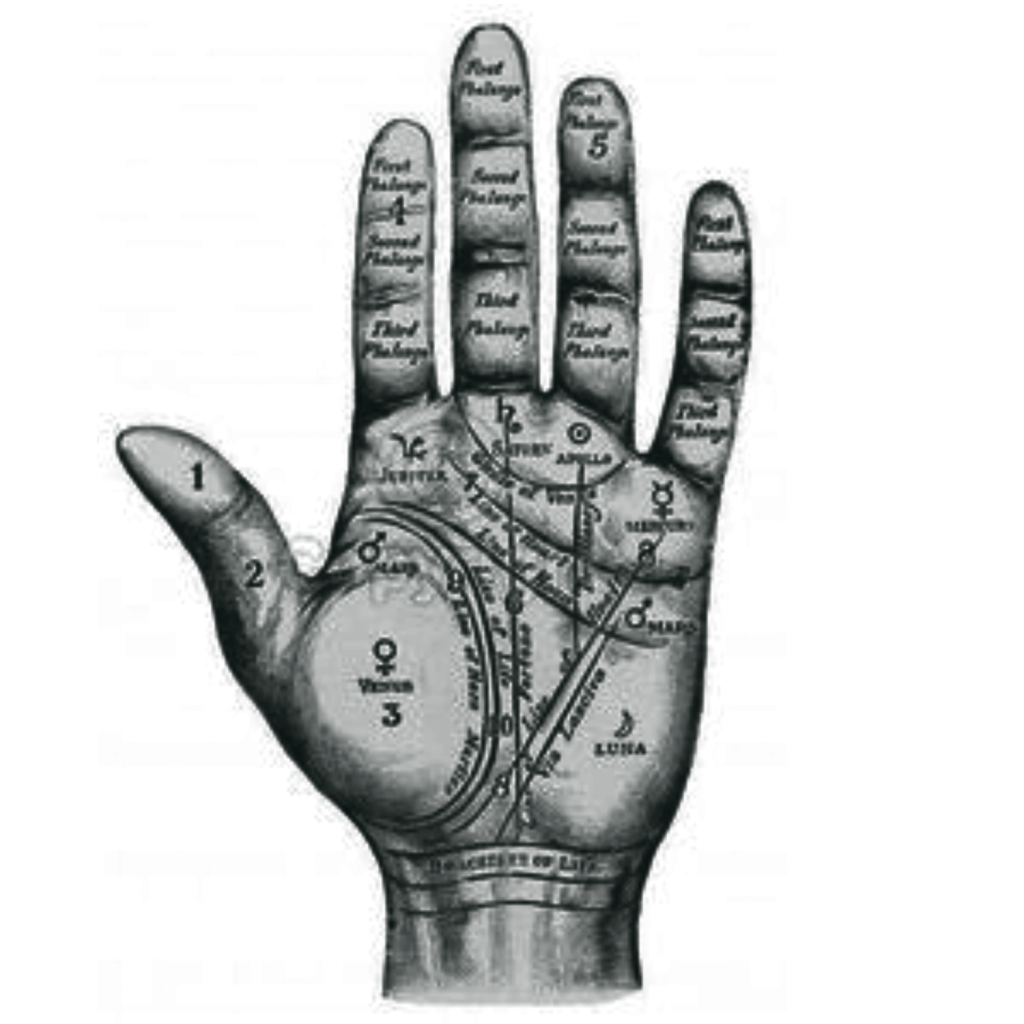 Editing & Coaching Rates Ink Slinger Editorial Services