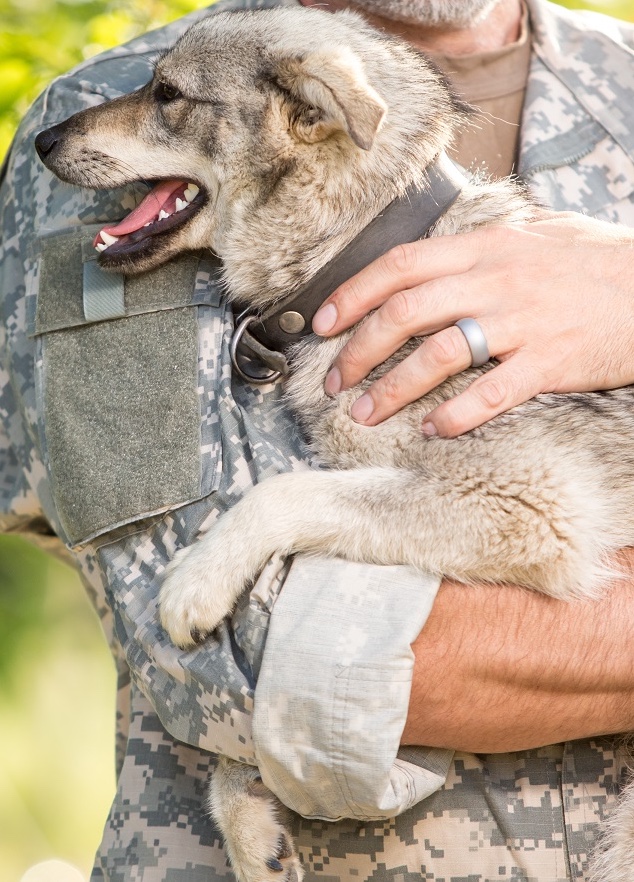 PET CARGO Pet Shipping WORLDWIDE IMPORT EXPORT frankfurt