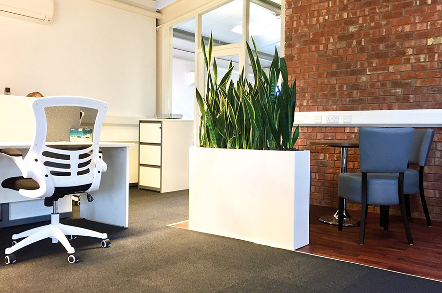 Office Plant Hire Office Plants Rental & Maintenance • Inleaf