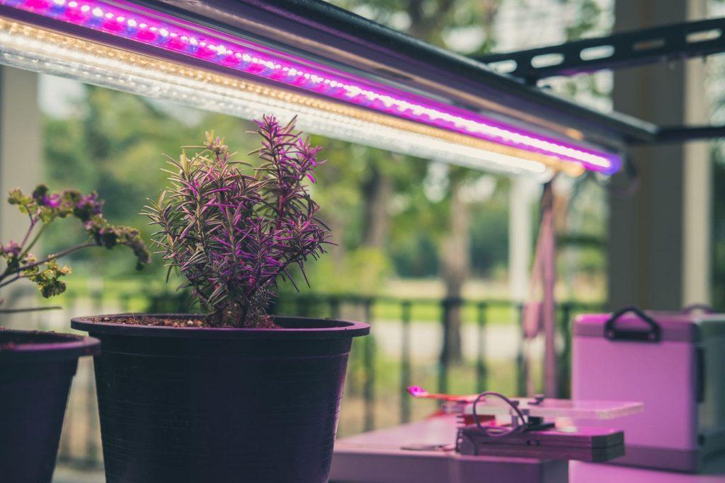 Design Trends in LED Lighting Innovations and Inspiration Inled