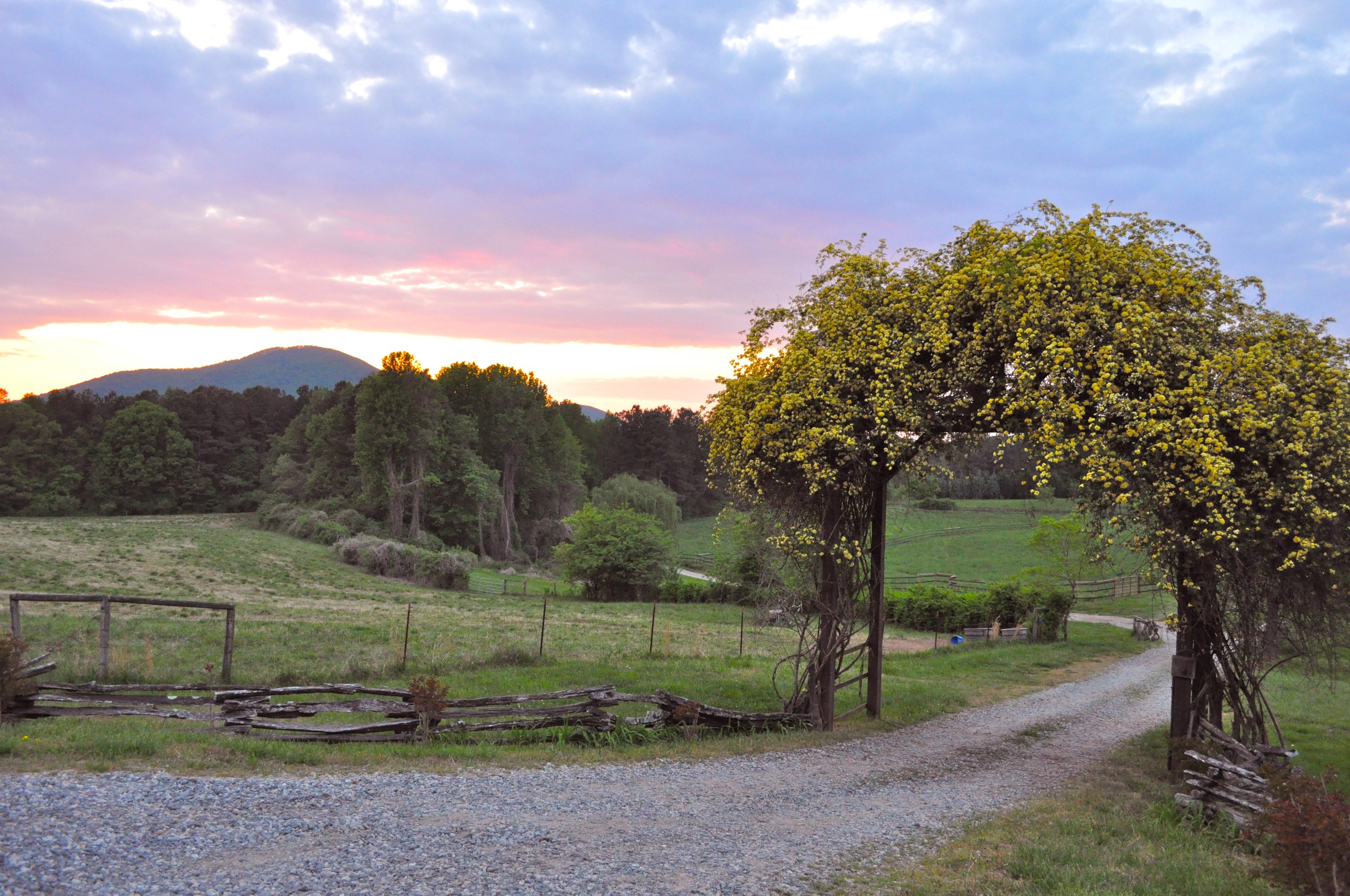 Montara Farm Inman Perk Coffee