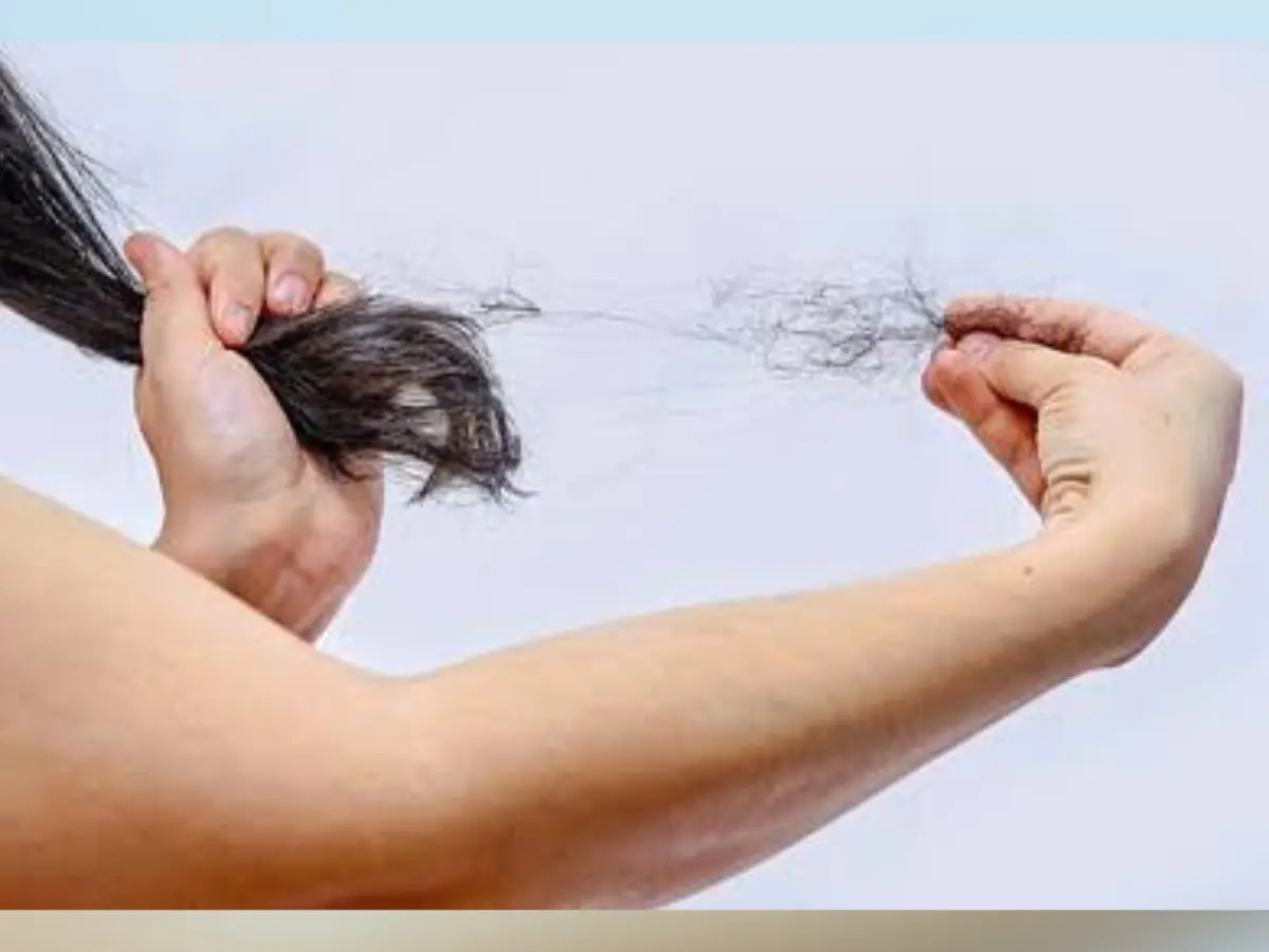 Shedding hair? Shed worries instead, prevent hair fall Inmathi