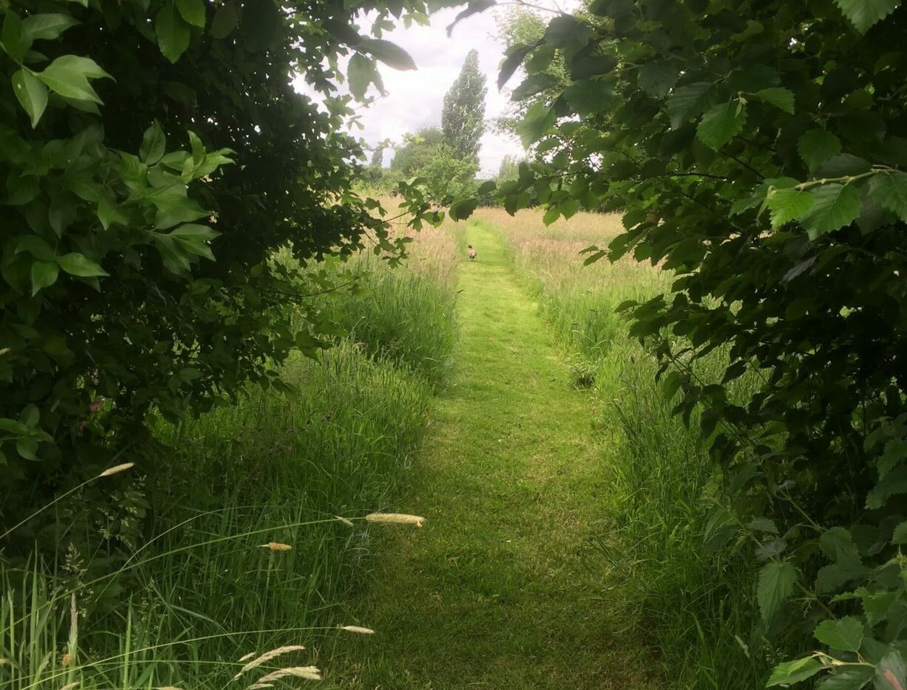 Riverview Natural Burial Ground In Memory Of Life Funerals
