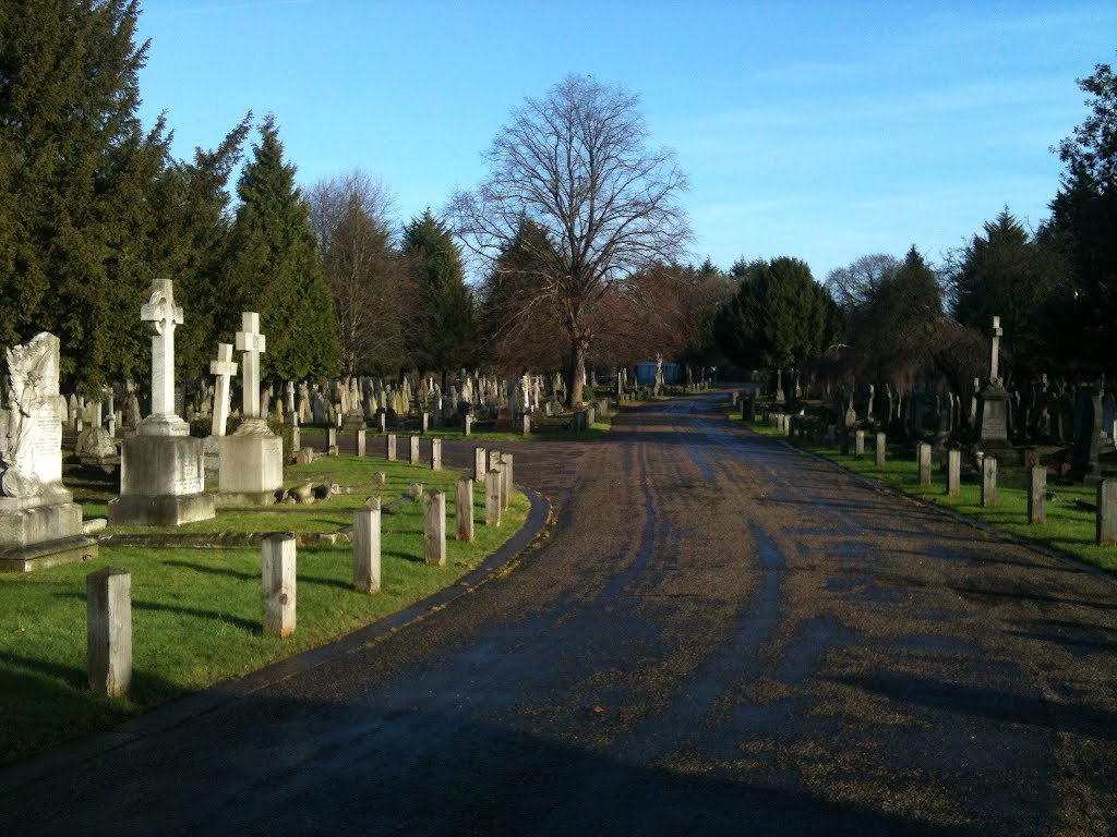 Acton Cemetery In Memory Of Life Funerals