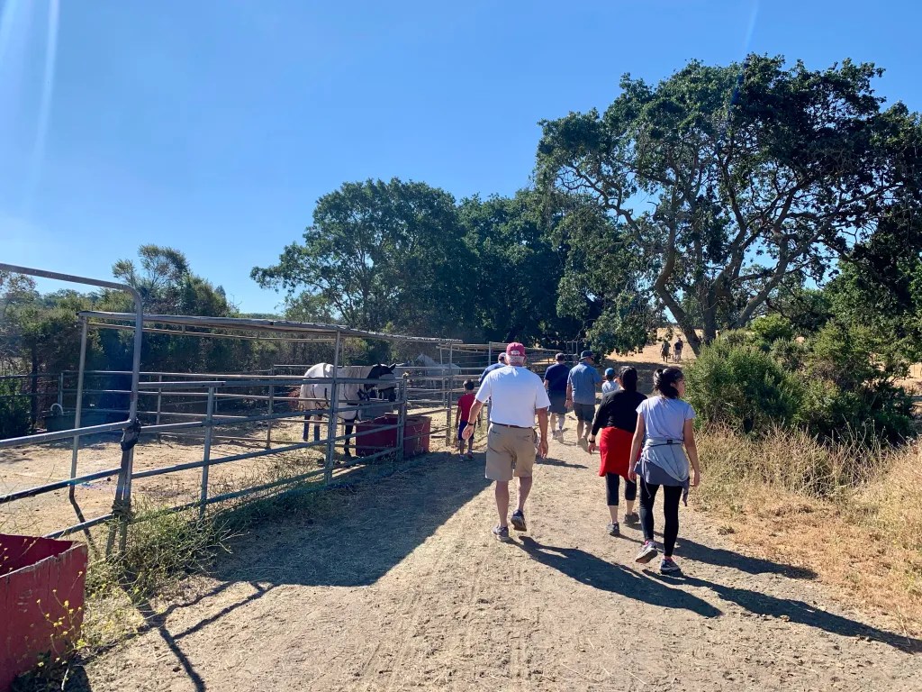 Pool to Pasture kicks off 4th of July in Ladera and b Ranch InMenlo