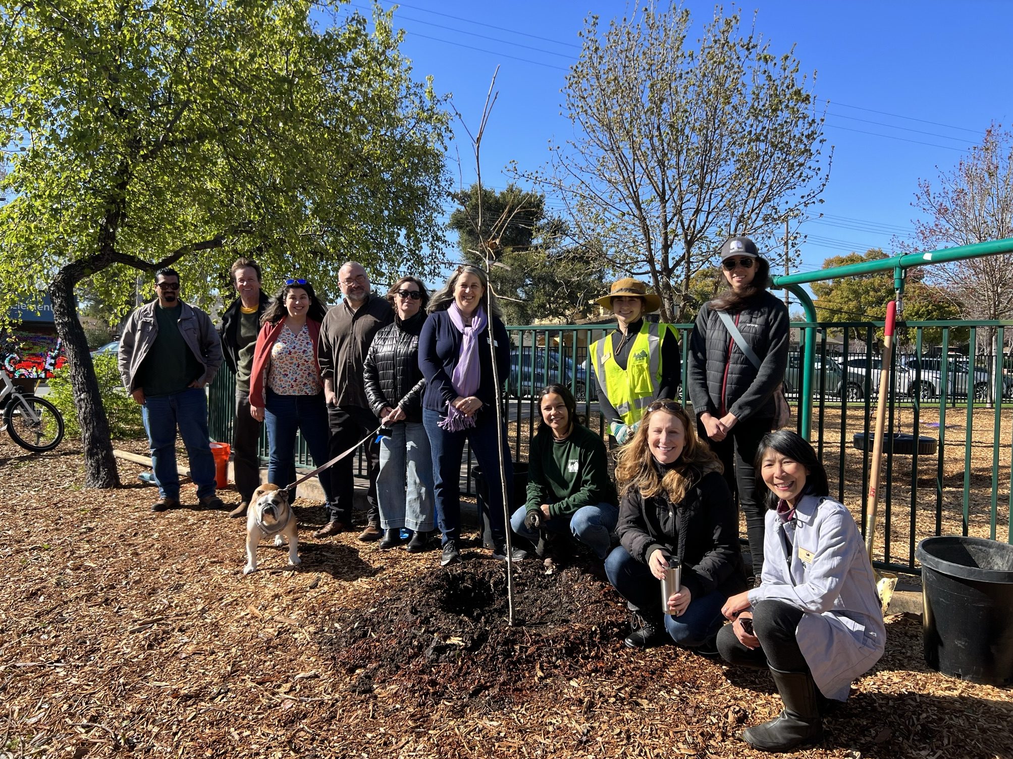 Menlo Park Mayor Jen Wolosin plants Canopy tree in Belle Haven Mini