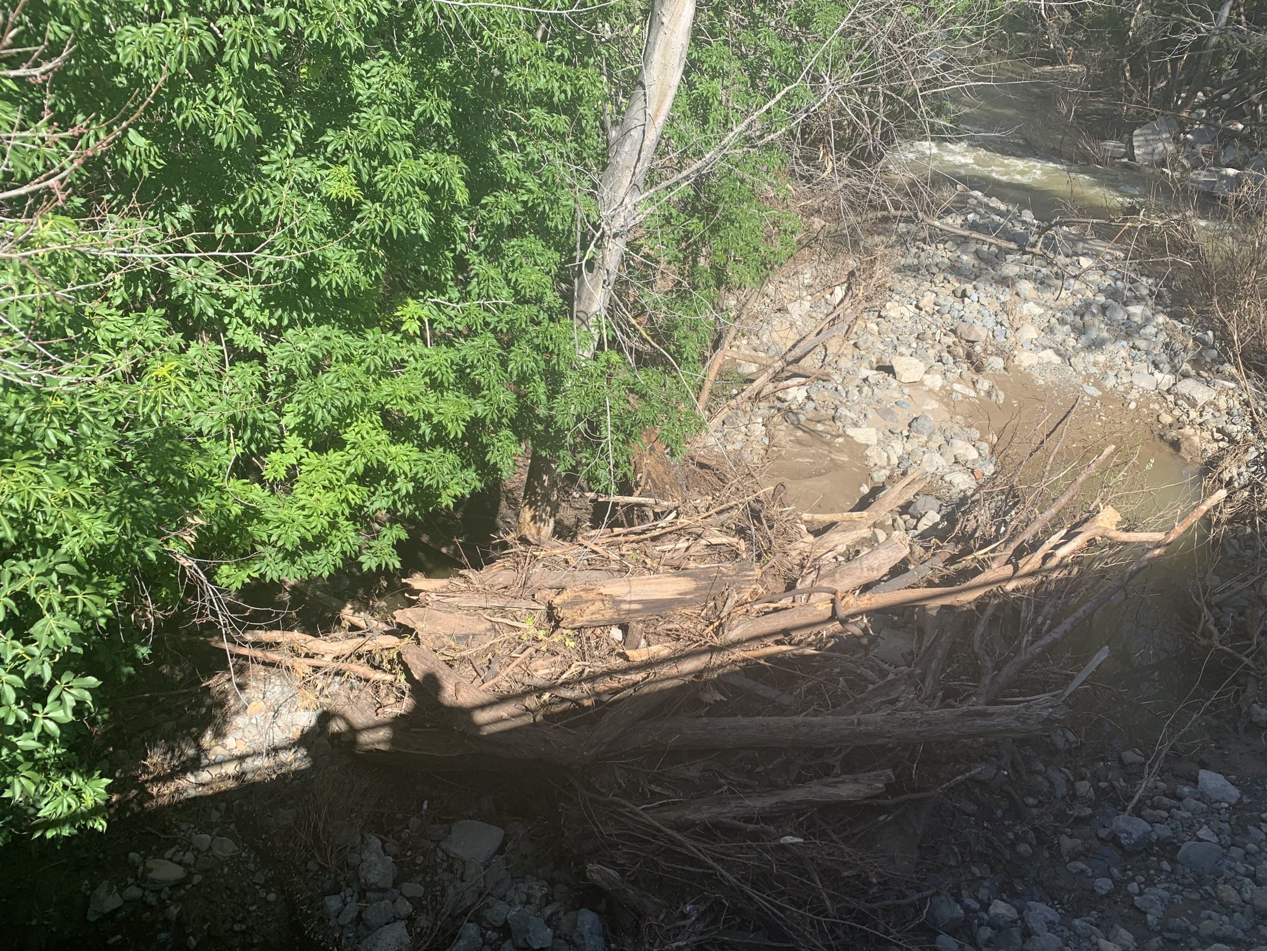 Rain, wind — lighter than predicted in Menlo Park today InMenlo