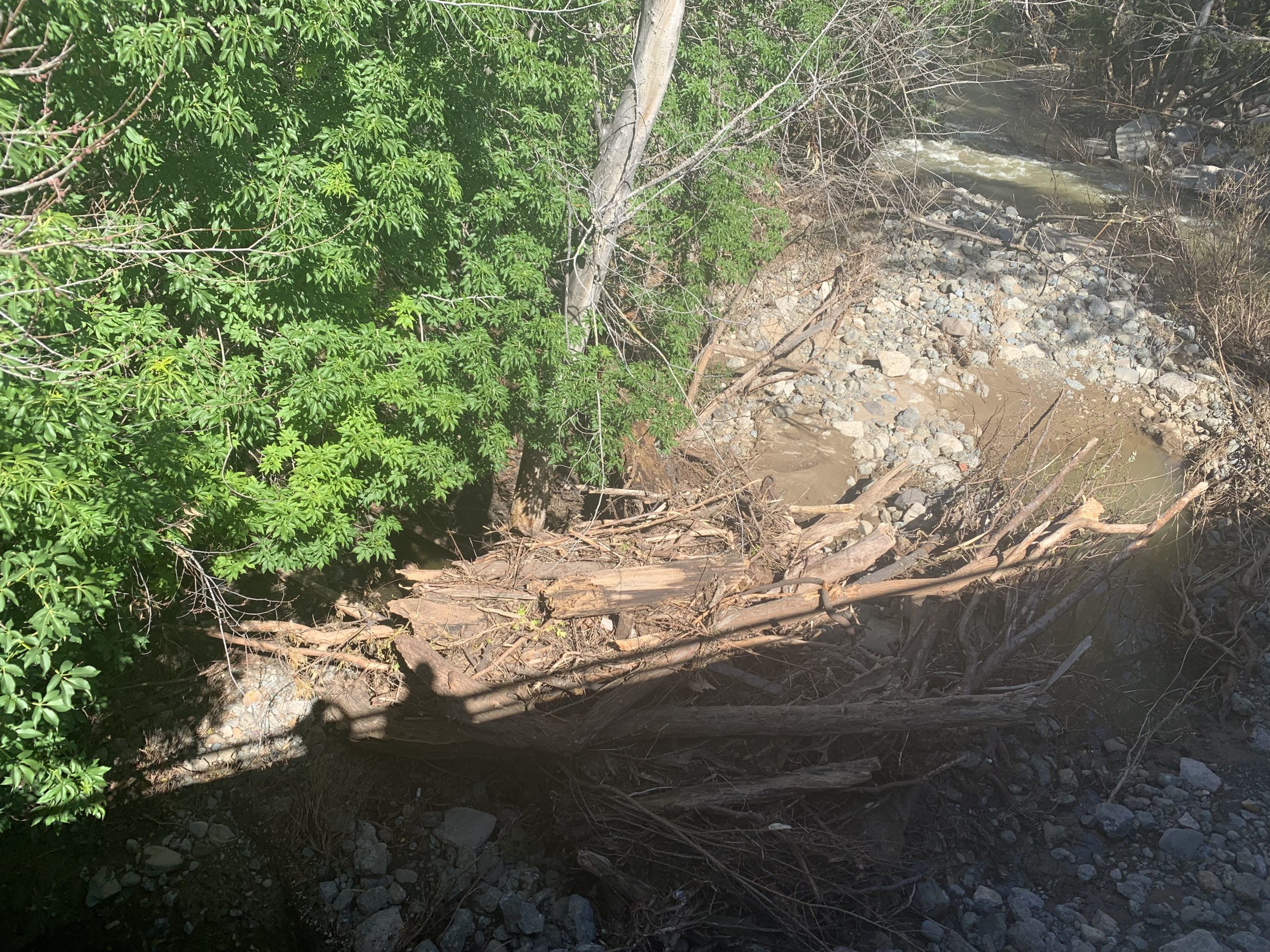 Rain, wind — lighter than predicted in Menlo Park today InMenlo
