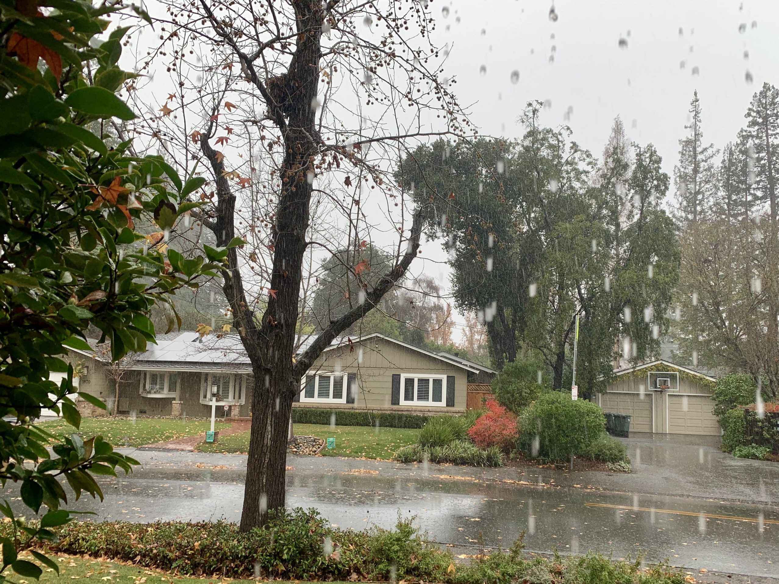 Another rainy end of the year for Menlo Park InMenlo