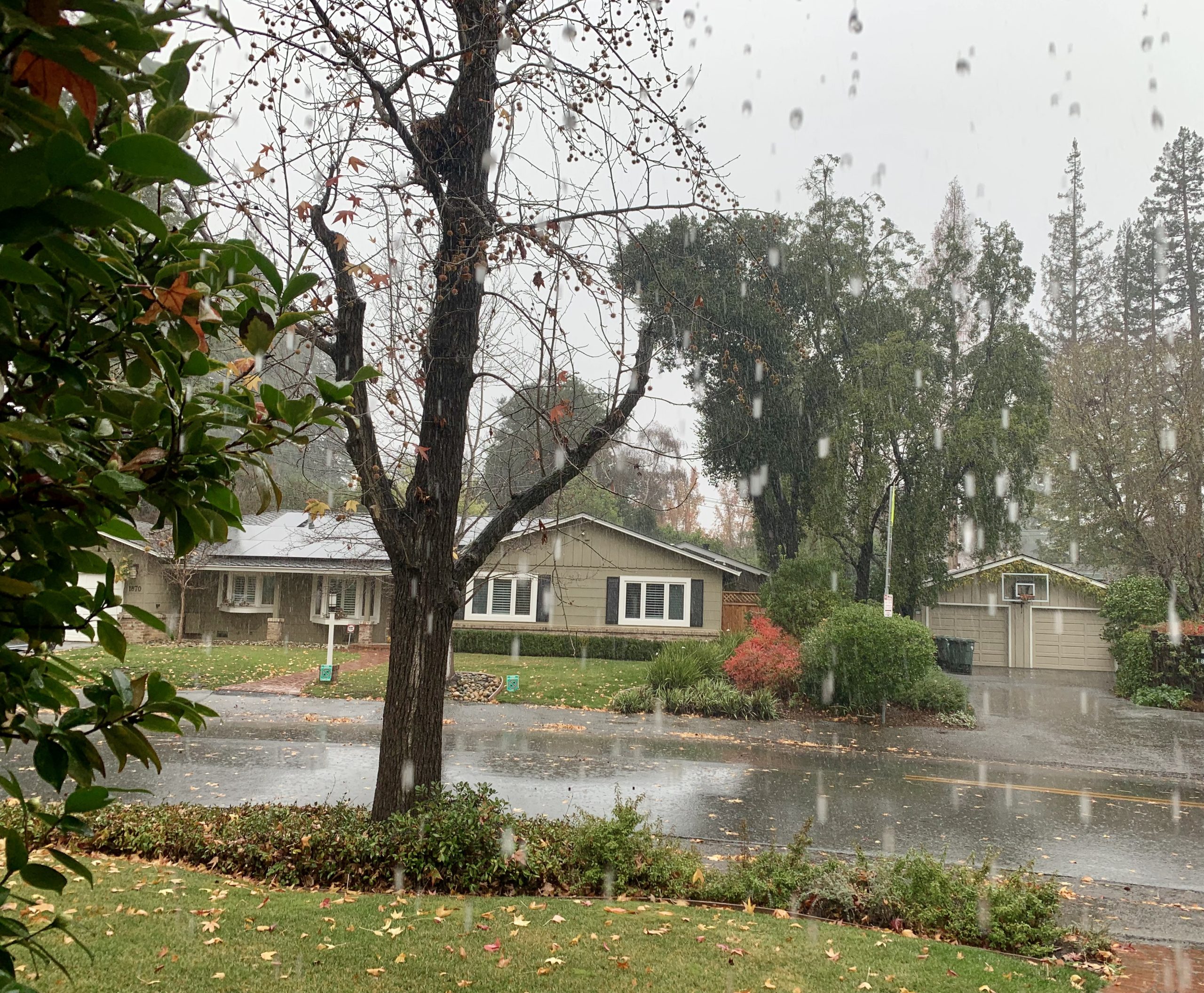 Another rainy end of the year for Menlo Park InMenlo