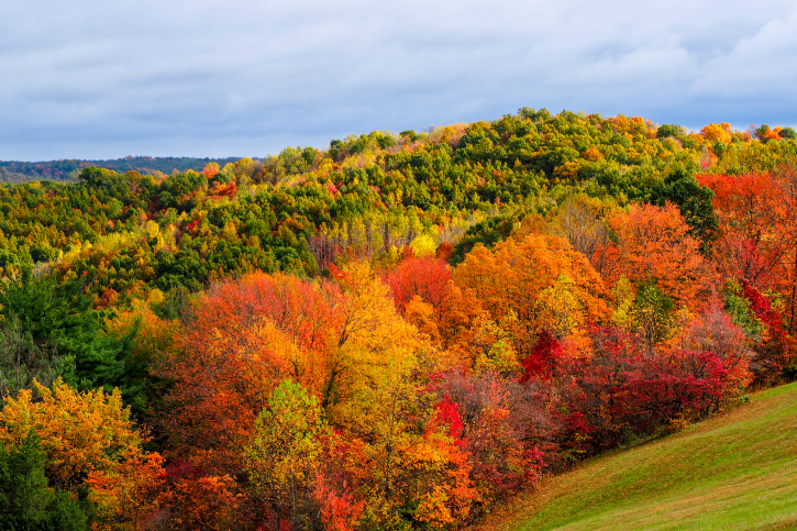 ohio fall foliage 2023 View Picturesque Hocking Hills Fall Foliage