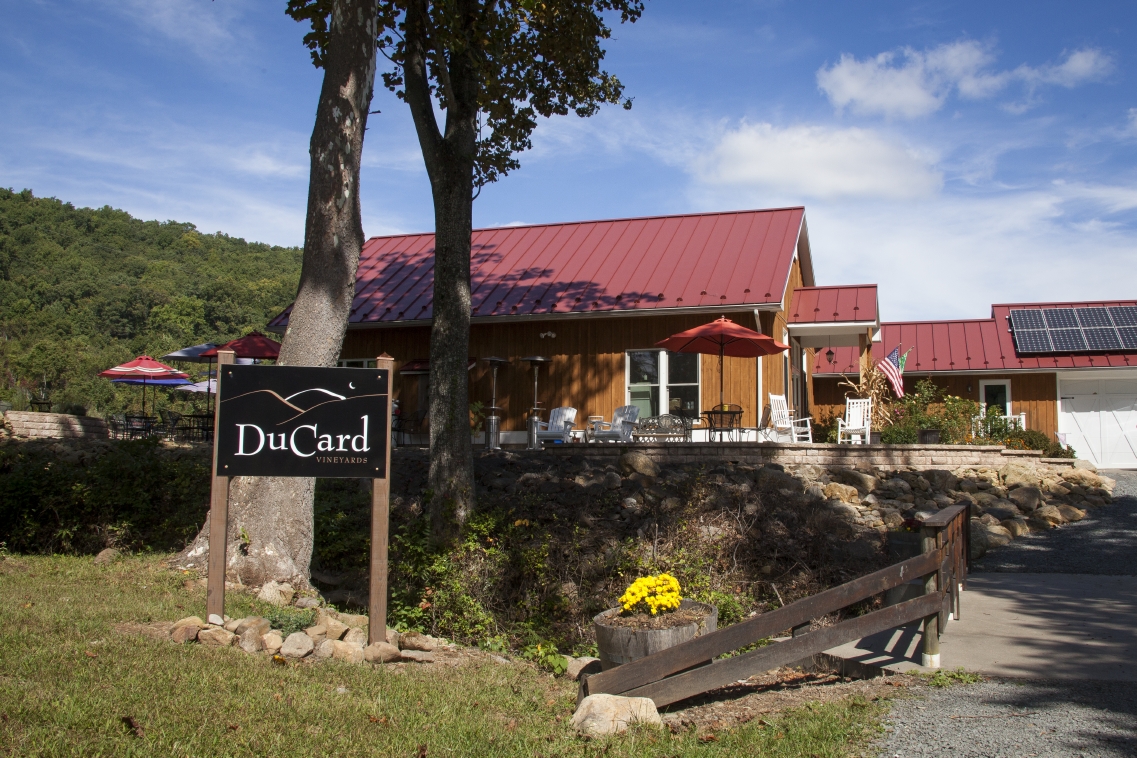 What's in the Area? Virginia's Best Vineyards & Wineries