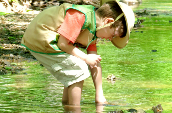 5 Tips for Exploring Nature with Kids Inner Child Fun