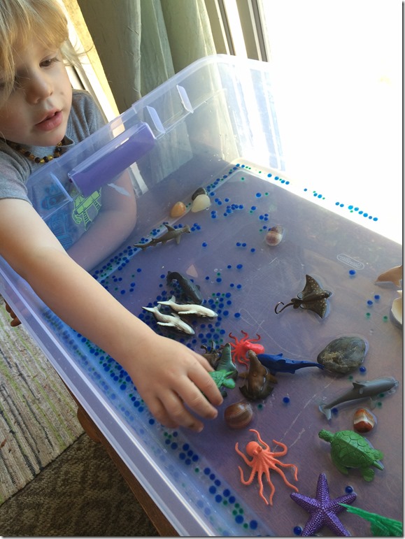 Creating an Ocean Sensory Table Inner Child Fun