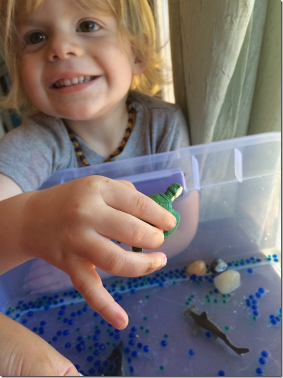 Creating an Ocean Sensory Table Inner Child Fun