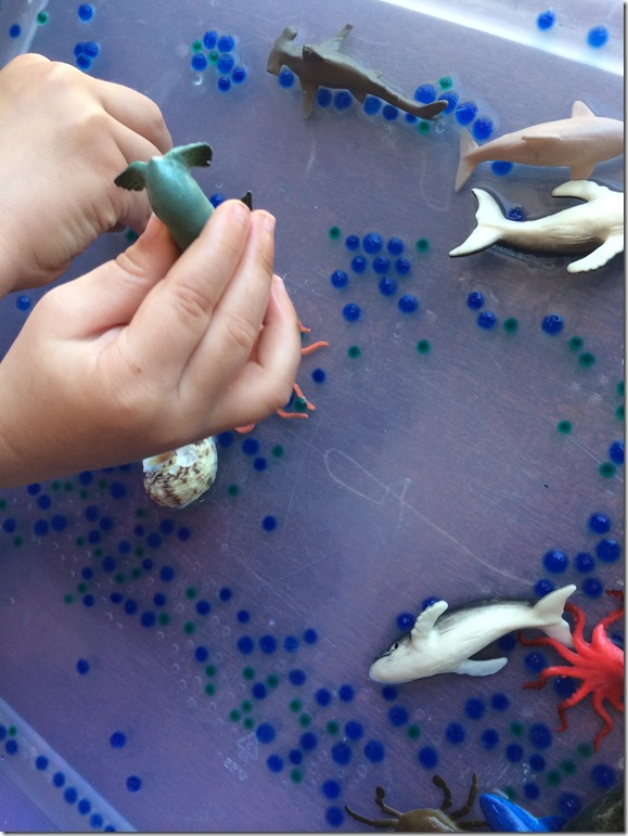 Creating an Ocean Sensory Table Inner Child Fun