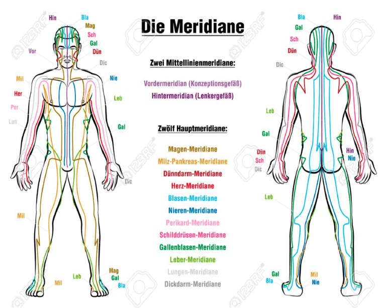 Surya Namaskara und die Meridiane Inner Flow Yoga