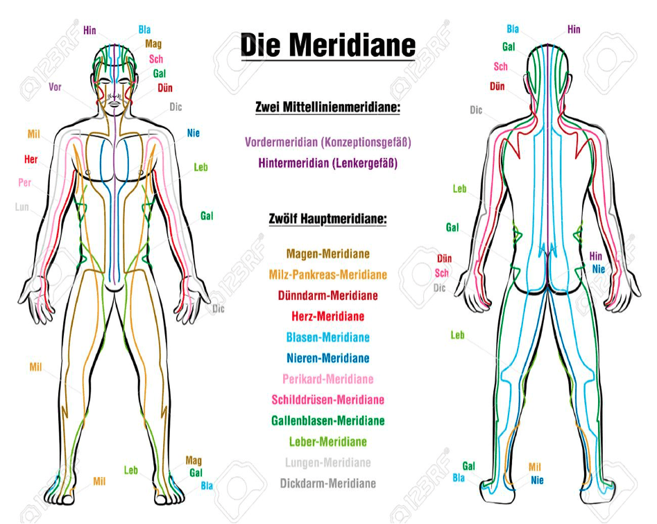 Surya Namaskara und die Meridiane Inner Flow Yoga