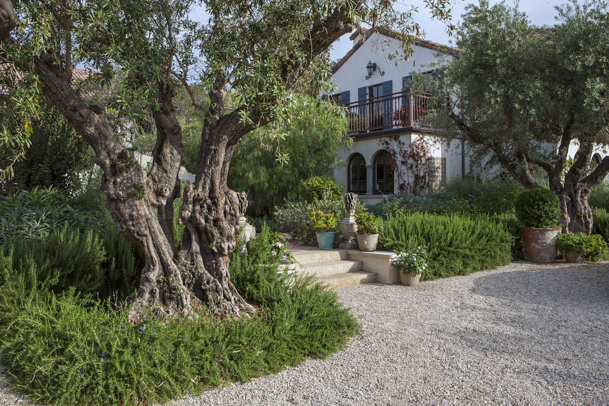 Add Character to Your Garden With Patina Inner Gardens