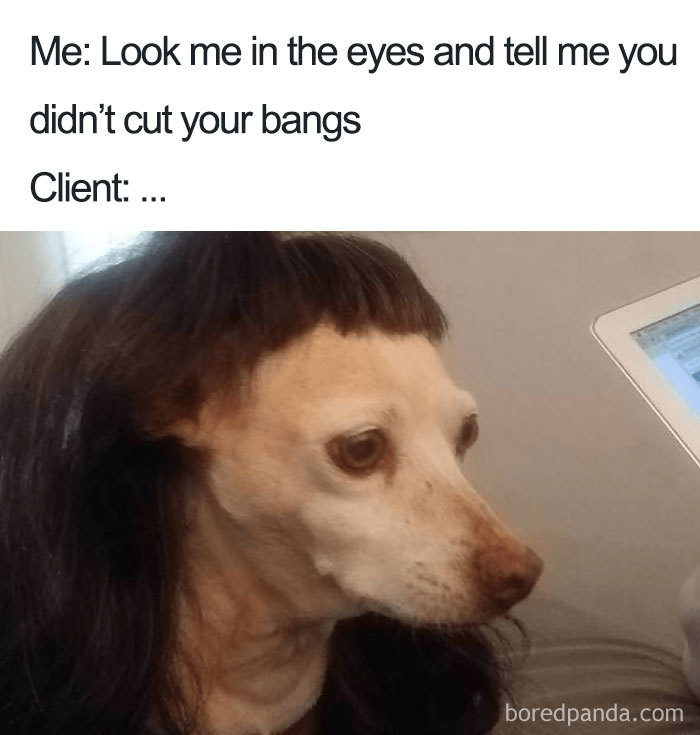 23 Hilarious Memes That Will Make You Glad You Are Not A Hairstylist