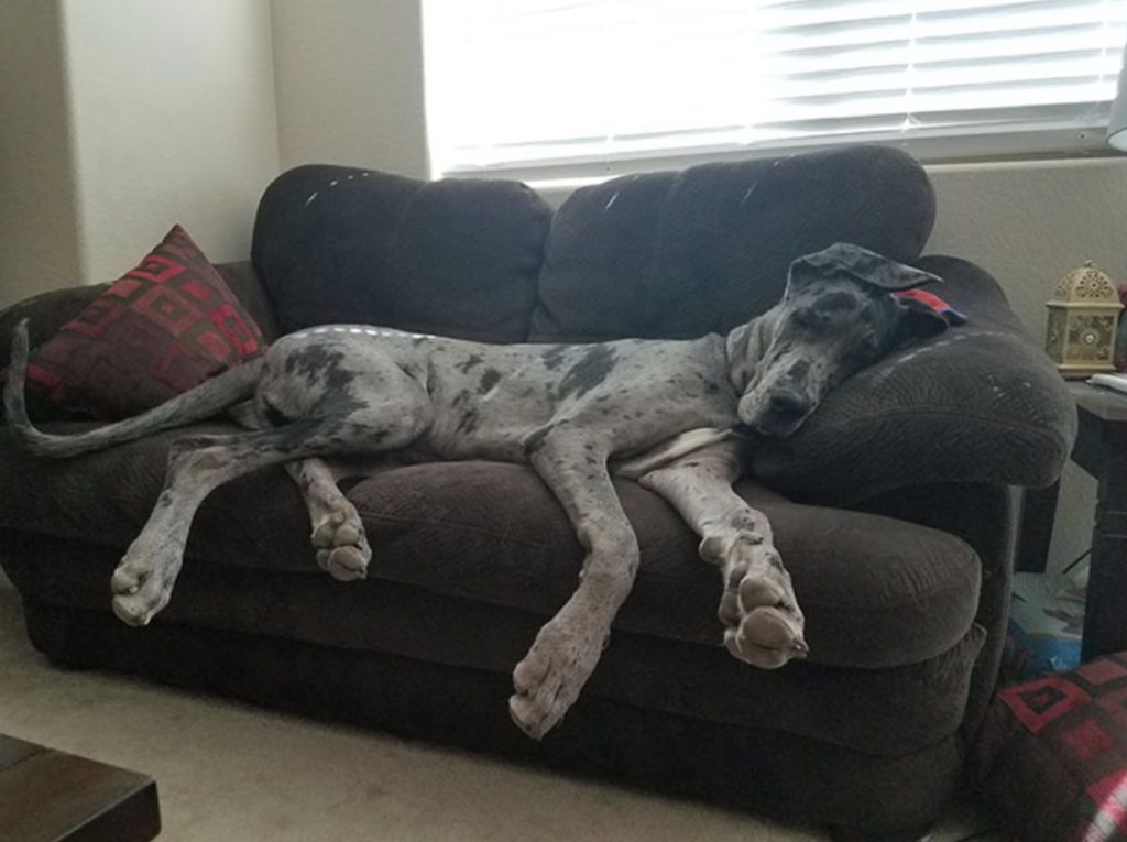 14 Hilarious Photos To Help You Appreciate The Goofy Side Of Great