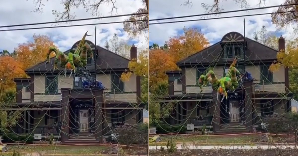 Giant Inflatable Spider For Halloween Crawls Off The Roof To The