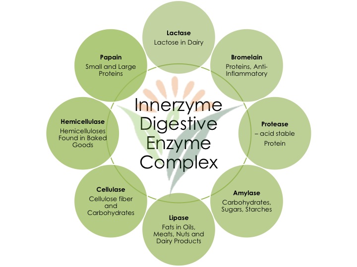 Digestive Enzyme Complex Innerzyme