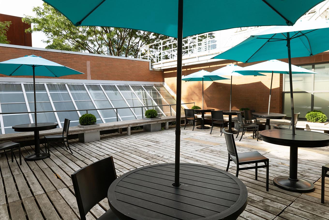 Innis Rooftop Patio Innis College University of Toronto