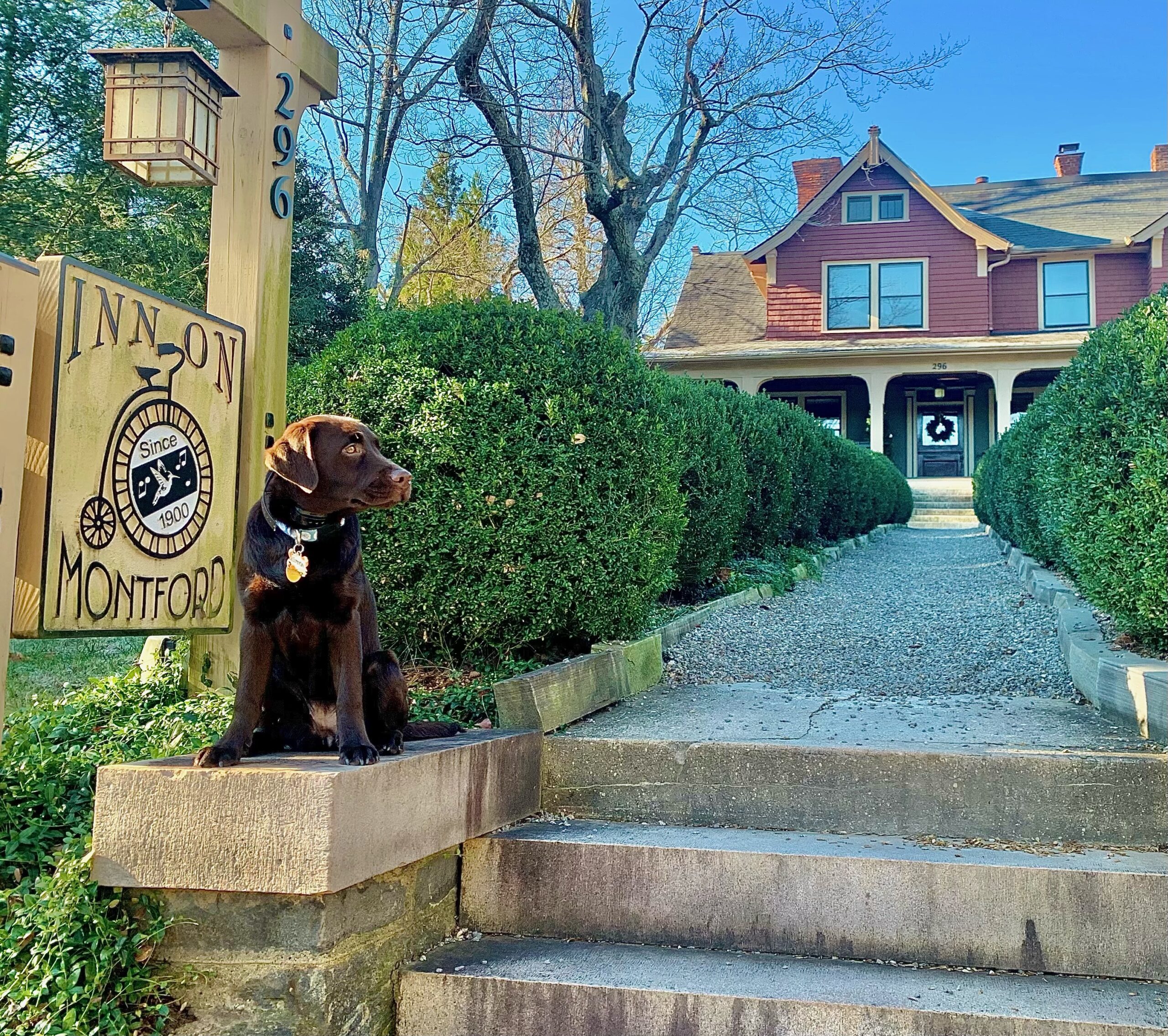 Clementine’s Adventures Pet Friendly B&B 1900 Inn on Montford