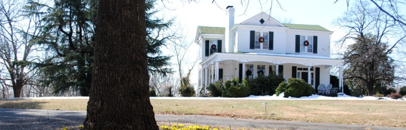 Inn on Poplar Hill Virginia bed and breakfast Orange VA